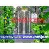小磨香油是以芝麻為原料制作生產出來的食用油的一種-香油機